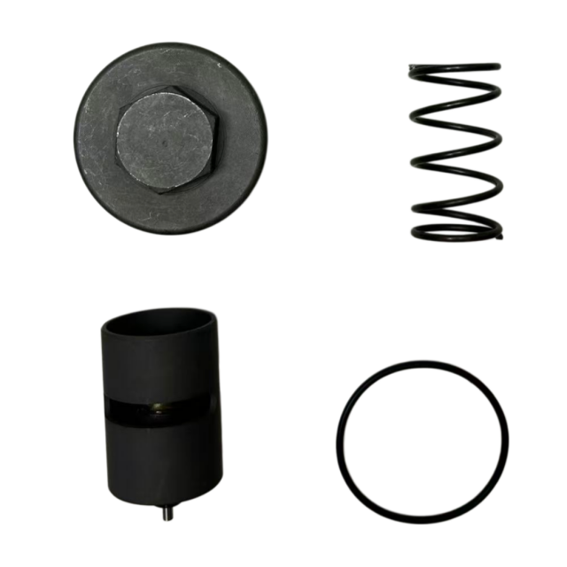 2901146400 KIT THERMOSTAT 60 C