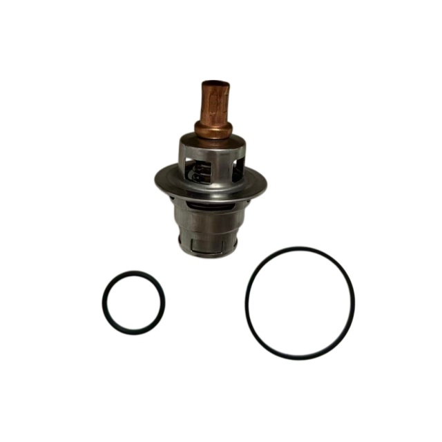 2906907701 THERMOSTAT KIT