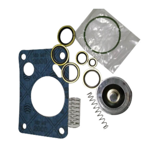 Check Valve Kit 2901108400