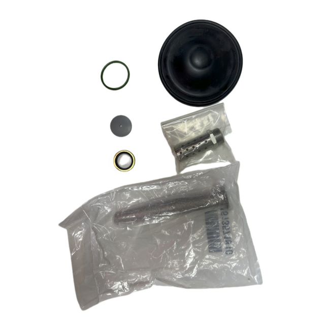 2901110100 Inlet Valve Overhaul Kit