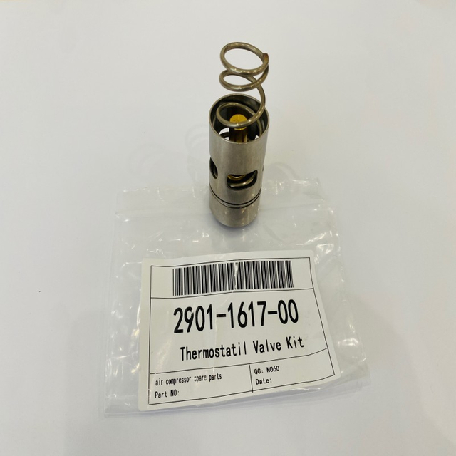 Thermostat Valve Kit 2901161700