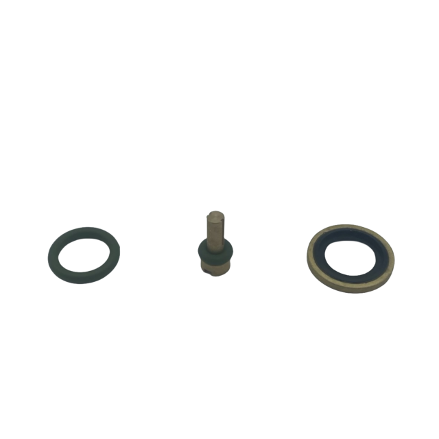 2901107700 Check Valve Kit