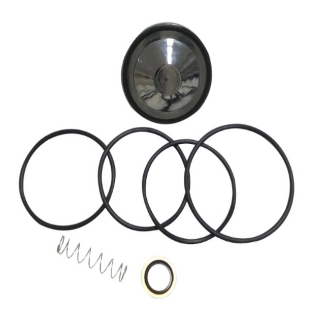 Check Valve Kit 2901050301