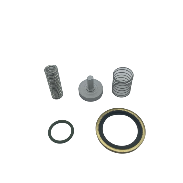 2901139900 Minimum Pressure Valve Kit