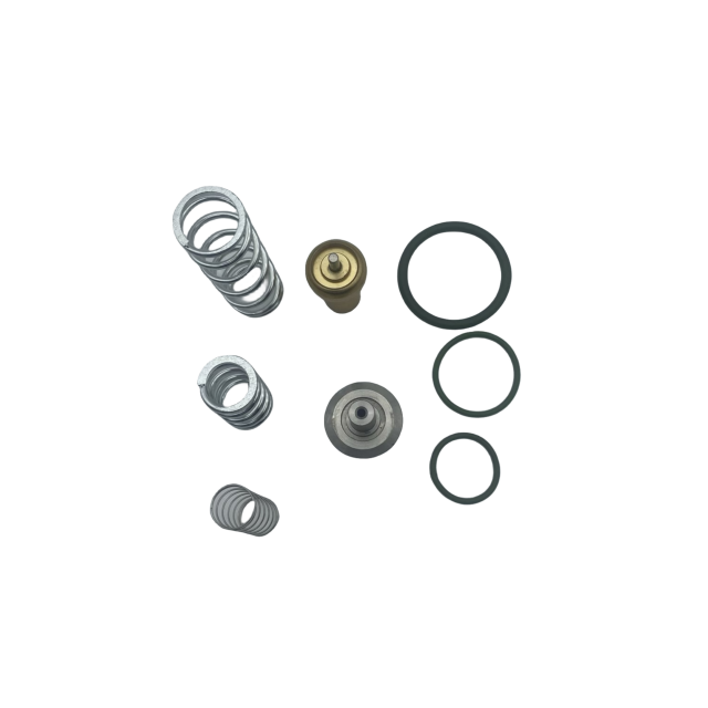 2901109500 Thermostatic Valve Kit 