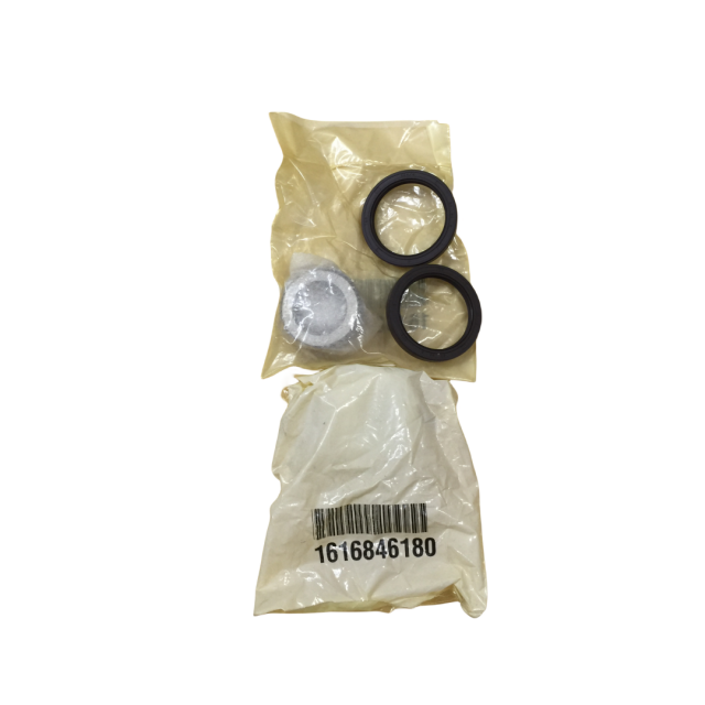 3001160261 KIT LIP SEAL