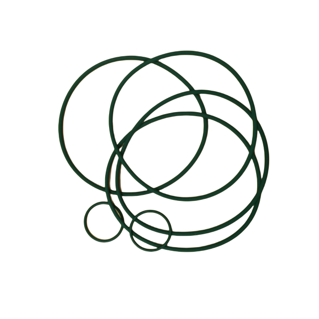3001156033 O Ring
