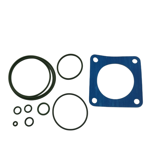 2901195700 Check Valve Kit