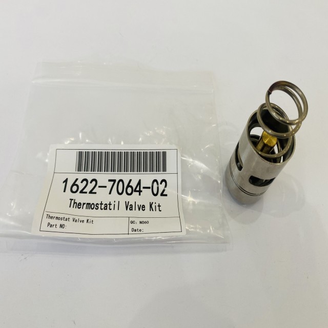 Thermostate Valve Kit 1622706402