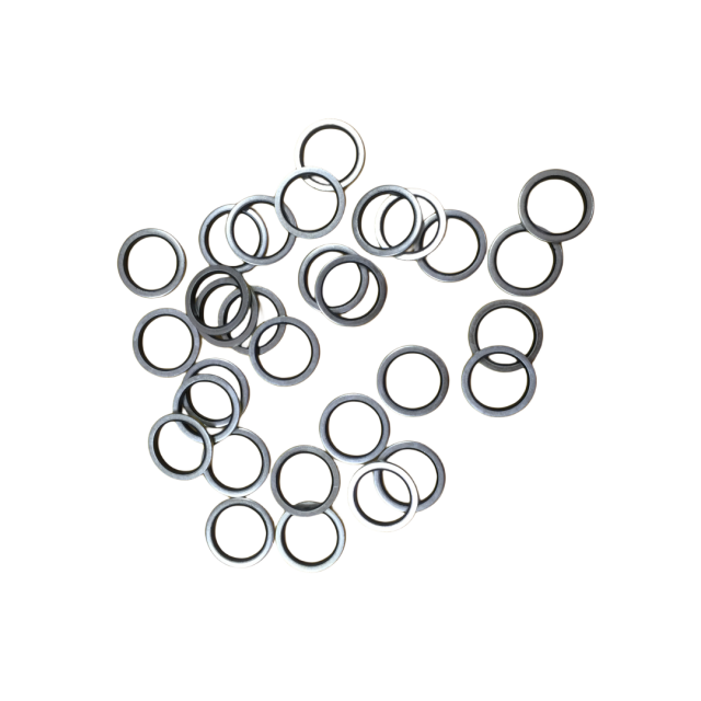 1607852263 SEAL WASHER