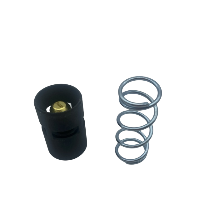 2901161600 Thermostatic Valve Kit 