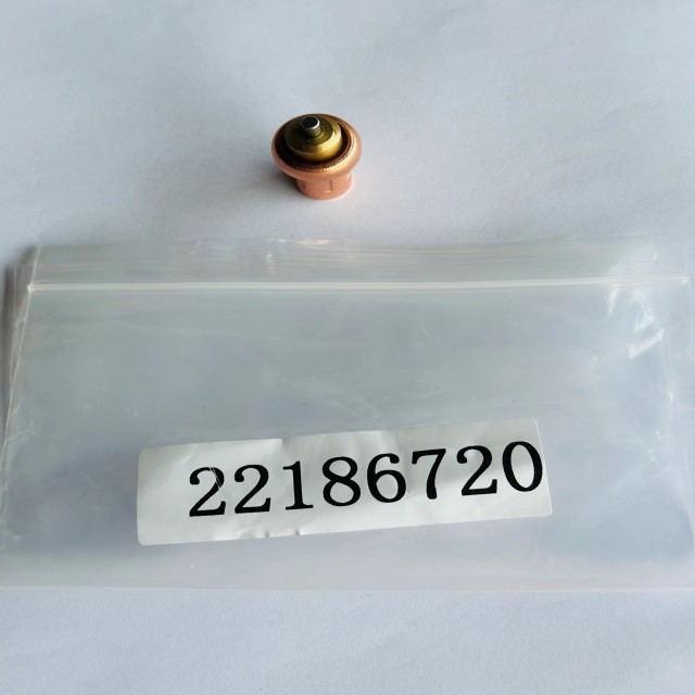 MECHANICAL VALUE THERMAL 22186720