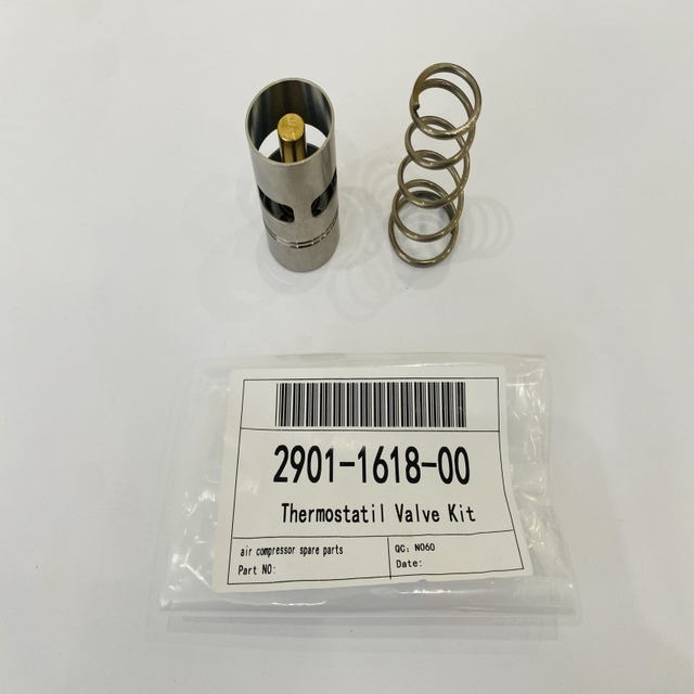 Kit Thermostat Valve 2901161800